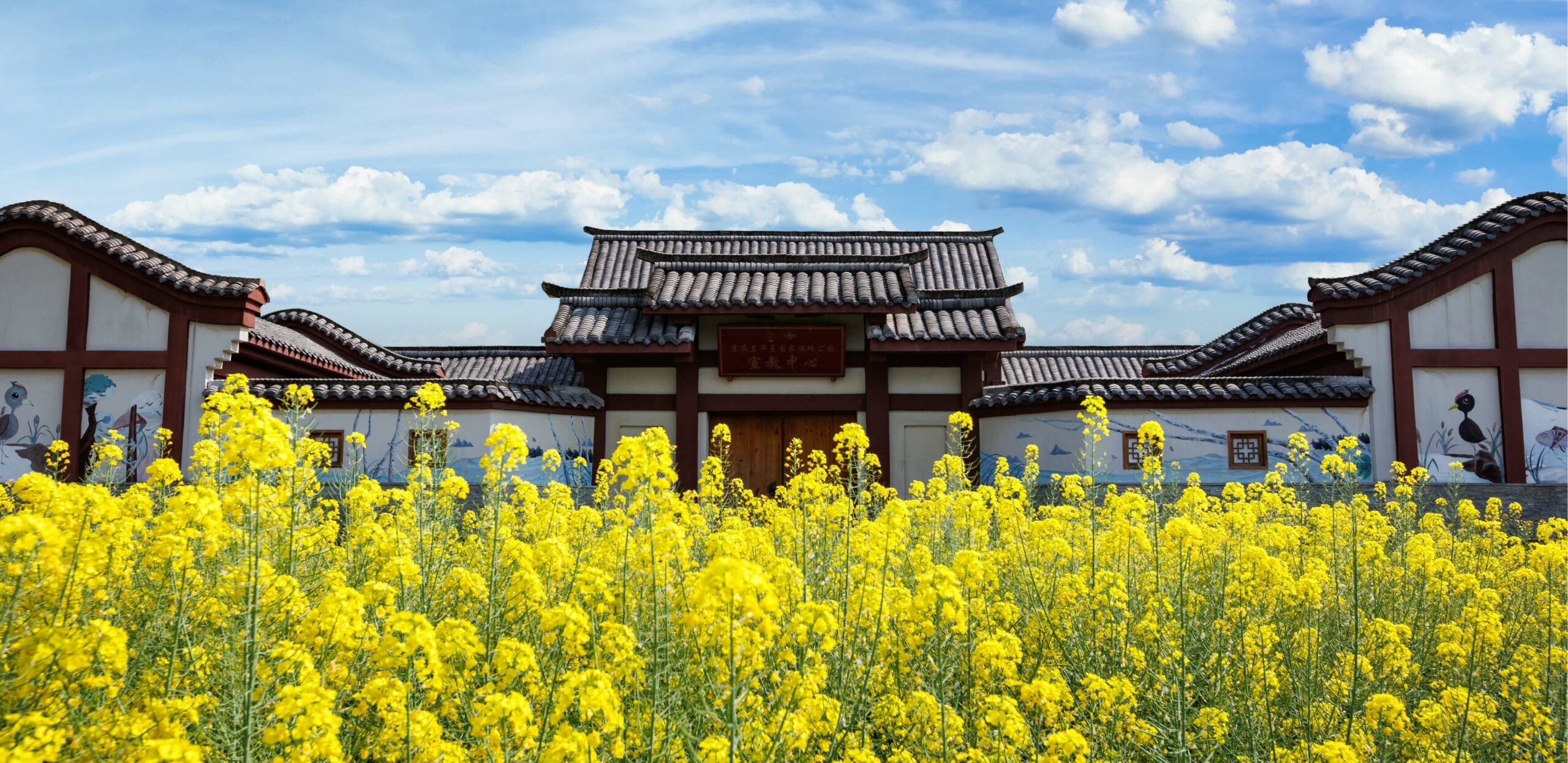Chongqing-Yichang 7-Night Round-Trip Cruise via Badong | Yangzi Explorer 02
