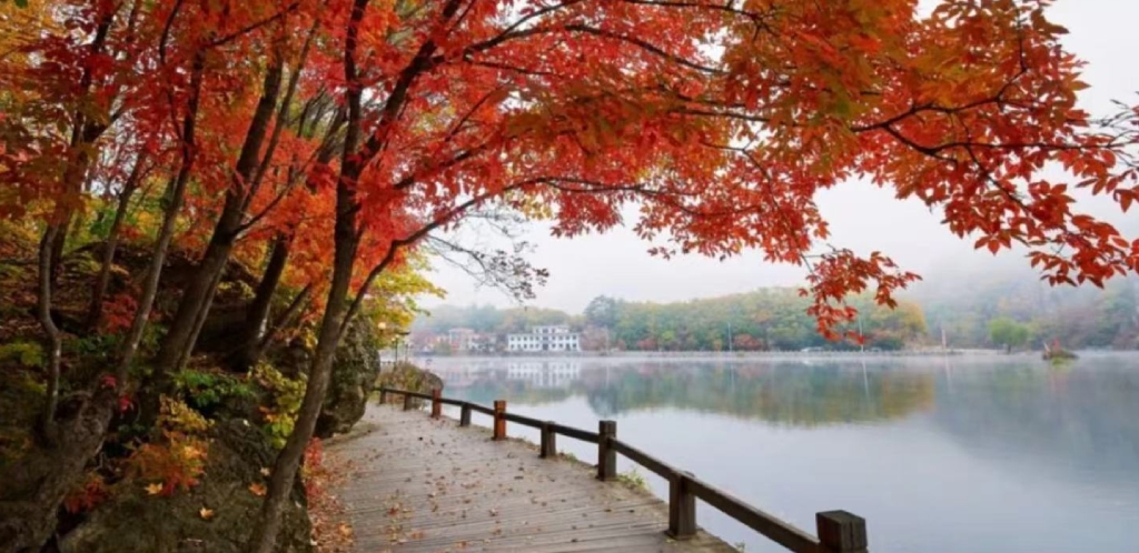 Lush summer scenery along the Yangtze River cruise route